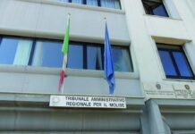 Rete Ictus, respinta la sospensiva dal Tar: fissata l’udienza di merito per il 25 marzo