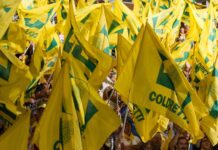 COLDIRETTI PESCA MOLISE: BENE CREDITO D’IMPOSTA SU CARBURANTI