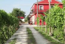 La Taverna di Camillo: il sapore autentico del Molise a Venafro