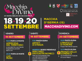 Il Molise nel calice: a Macchia d’Isernia il vino diventa racconto con “Il DiVino Ercole”